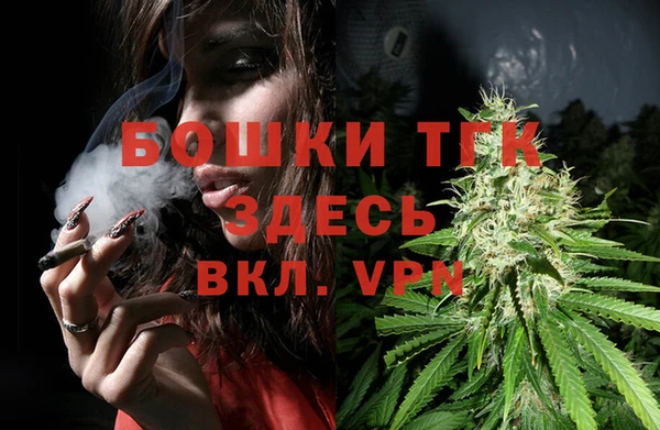 гашик Нягань