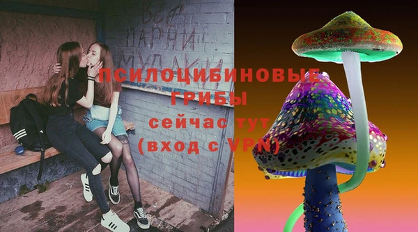 гашик Нягань