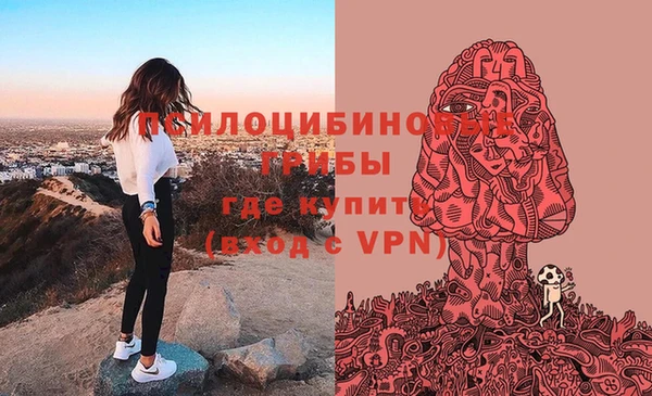 бутират Нязепетровск