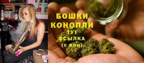 гашик Нягань