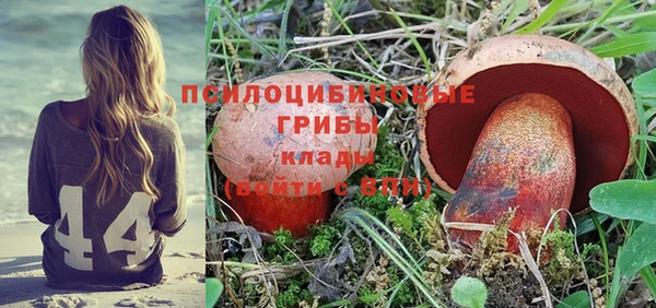 гашик Нягань