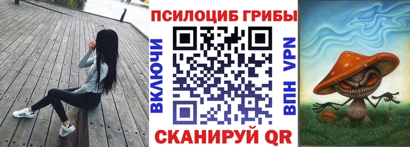 ОМГ ОМГ как войти  Краснознаменск  Галлюциногенные грибы Psilocybine cubensis  цены  