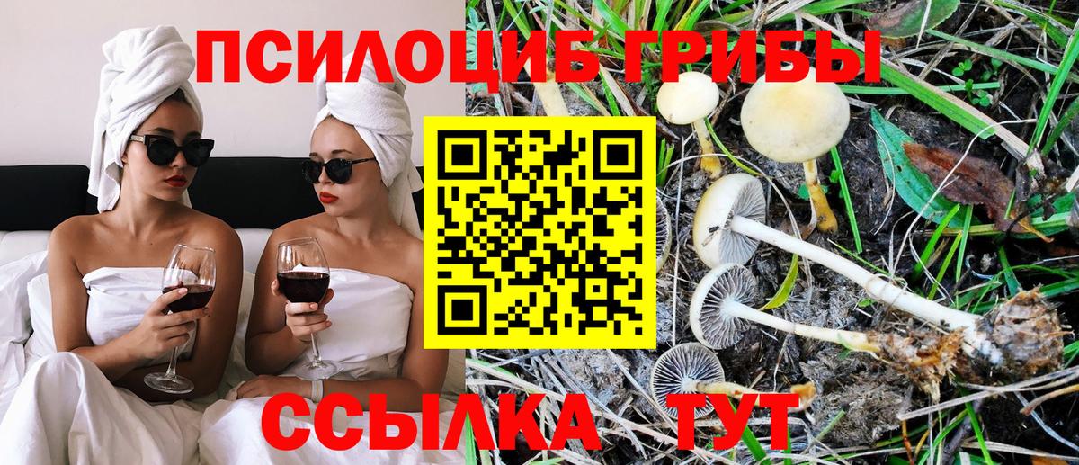 Галлюциногенные грибы Cubensis Краснознаменск